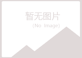 三门峡晓夏采矿有限公司